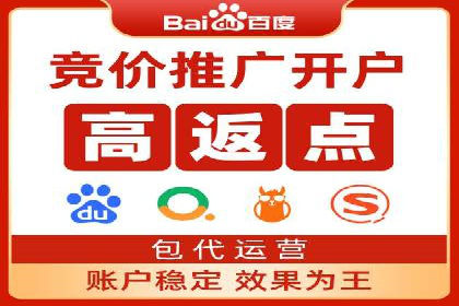 百度SEO推广案例：实战解析与优化建议